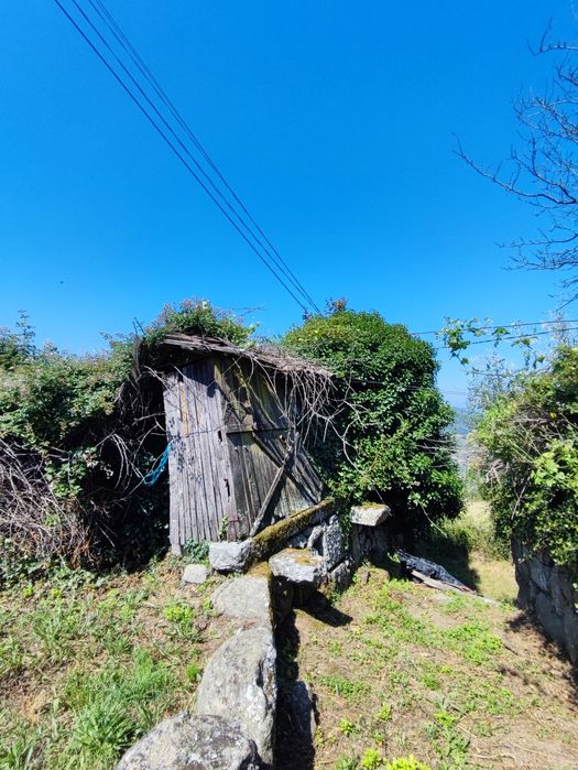 Quintinha no Douro Sul (Ferrós de Resende)
