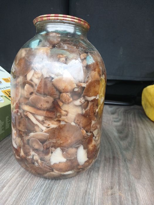 Продам мариновані гриби