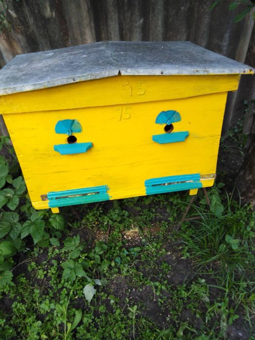 Вулики бджолині в гарному стані