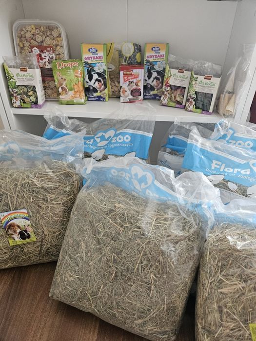 Świnka morska Kawia domowa, królik wyprawka
