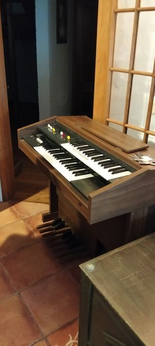 Órgão elétrico venda