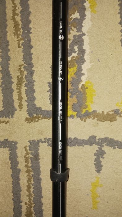 Walking Stick447315378438809602