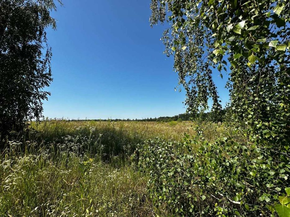Продаж земельної ділянки 38 соток - ОСГ. 50 метрів від траси. ID:678
