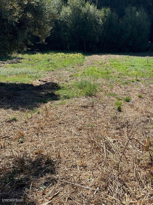 Terrenos em Pipa - Vila Cã, Pombal, com viabilidade construtiva