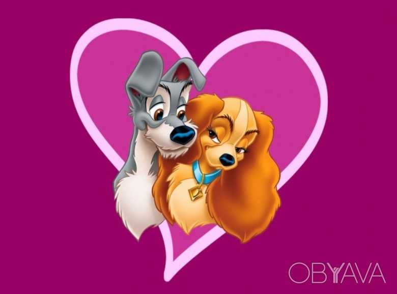 Вязка шпиц померанский