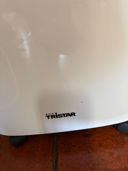 Desumidificador Tristar 10L