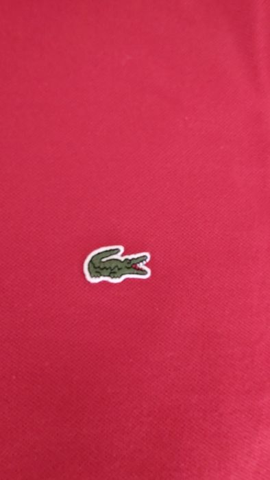 Polo Lacoste Tamanho 7