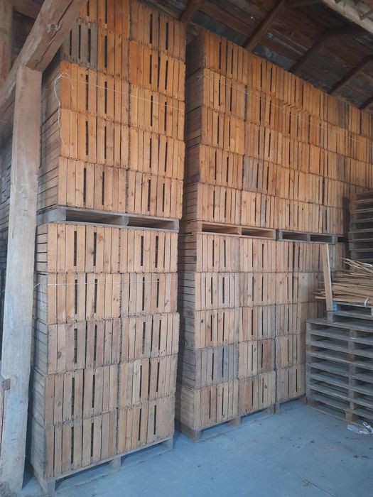 skrzynki drewniane na jabłka jedynki