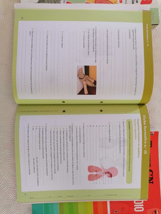 Terra CN 9 - manual, caderno de atividades NOVOS