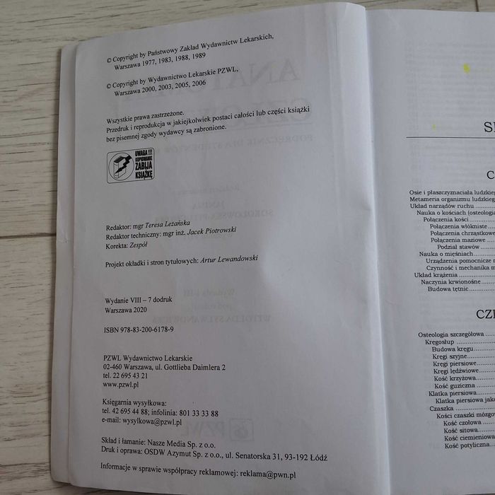 Anatomia Człowieka Pituchowa