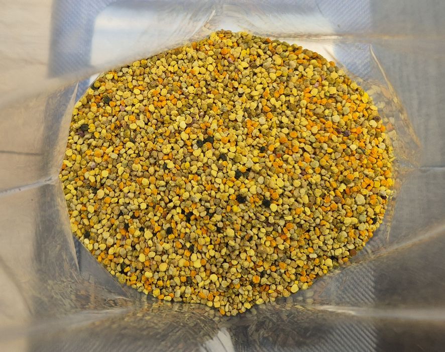 Pyłek Pszczeli 1 kg