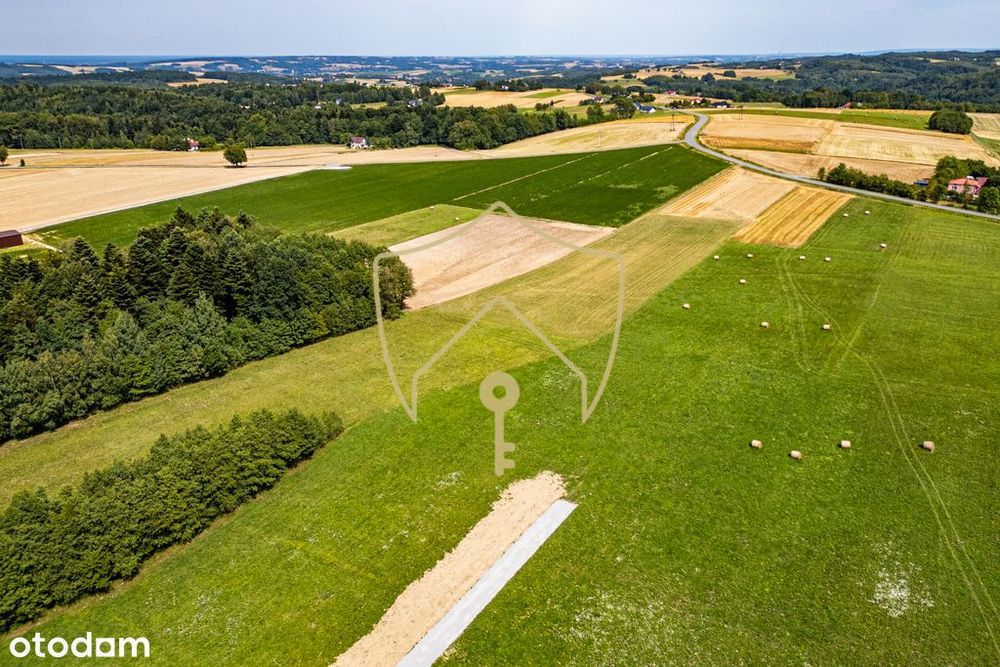 Duża, płaska działka -WZ bezterminowe na 2 budynki - Widok 4