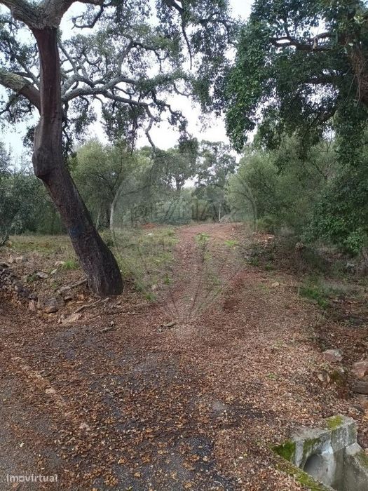 Terreno  para venda