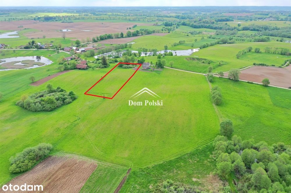 Działka 0,55 ha z WZ na Mazurach - Barany - Widok 2