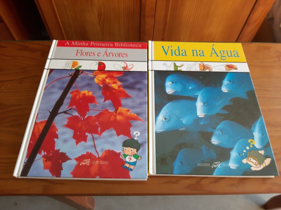 Colecção livros biblioteca