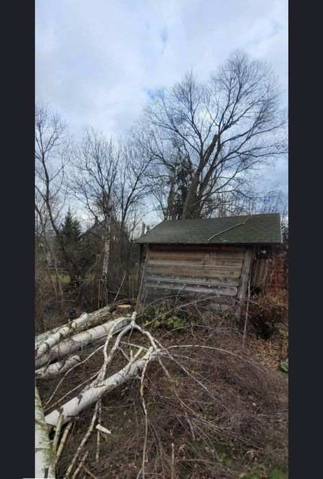 Wycinka Drzew Trudnych Sprzątnie Działek Cała Małopolska Szybki Termin