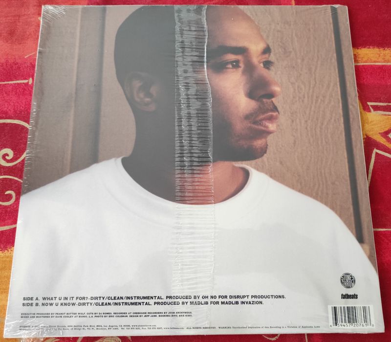 Medaphoar - What U In It For ? Vinil 12"