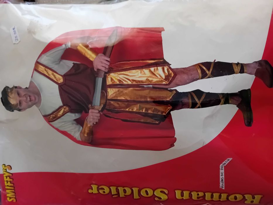 Carnaval fatos e perucas