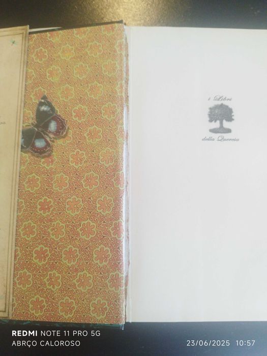 Livros juvenis - Aventura e mistério