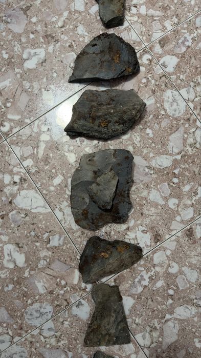 Pedras e troncos