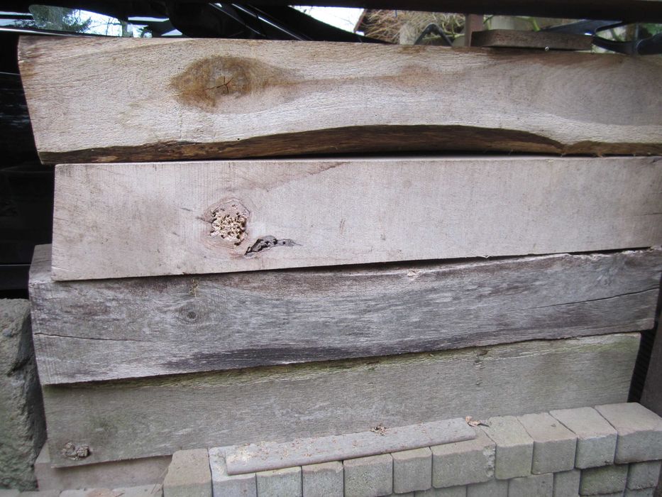 belka blok kłoda dębowa 100 x 15,5 x 21 cm