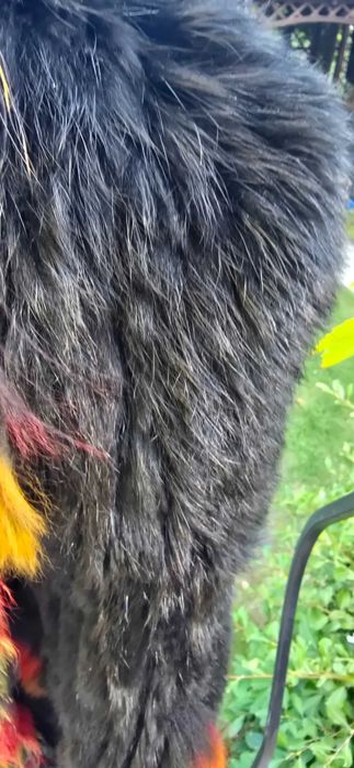 Kamizelka futrzana futro naturalne