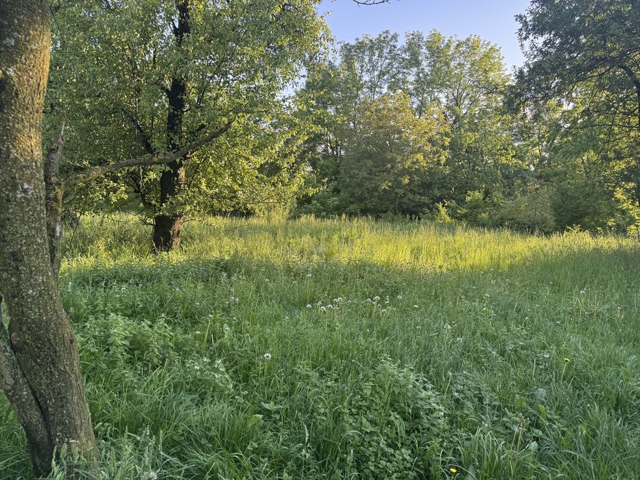 Продаж глиноб. будинку, 25 сот.с. Давидківці вул. Сонячна