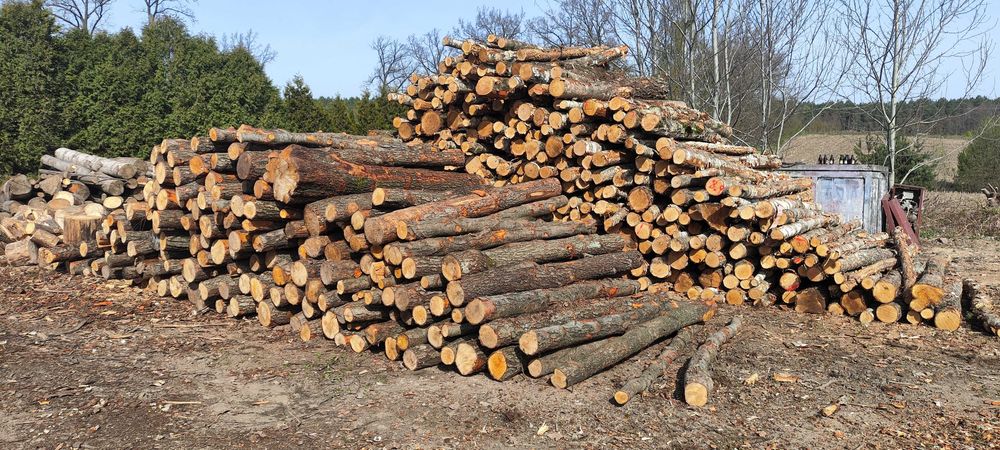 Drewno opałowe wałki metry kłoda Brzoza Olsza Grab Dąb Grube Dowóz !