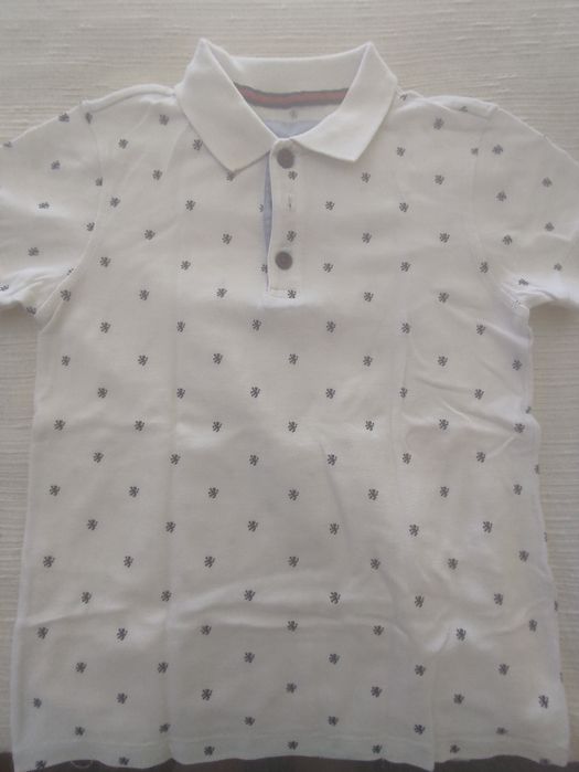 Polo Lion of Porches