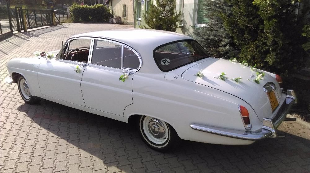 Zabytkowy samochód auto Jaguar na ślub, wesele