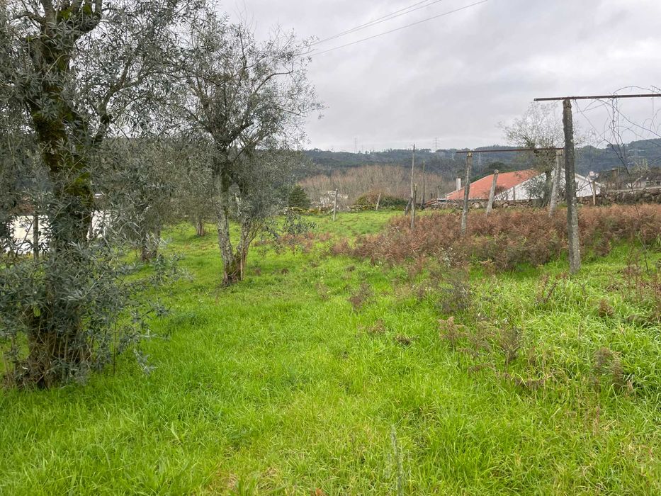 Terreno para Construção - Abragão - Penafiel