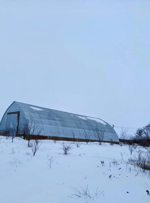 Земельна ділянка 4 га з яблуневим садом, будинками та ангаром