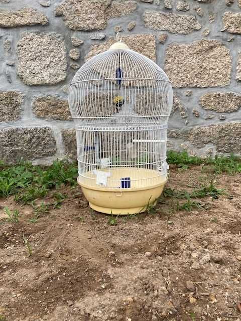 gaiola grande com alguns acessorios