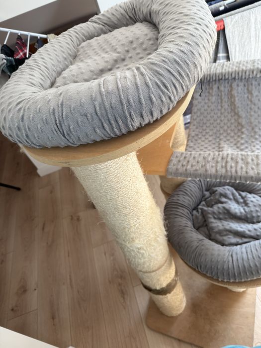 Drapak amaryllis L natural paradise