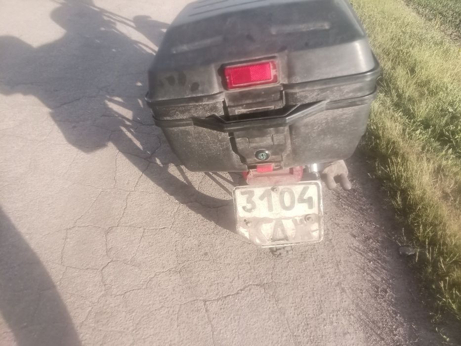 Восход 3м євро зайчик