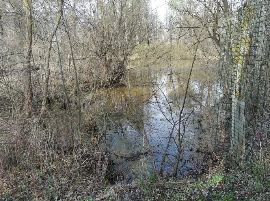 Продам будинок із земельною ділянкою с. Шмаївка