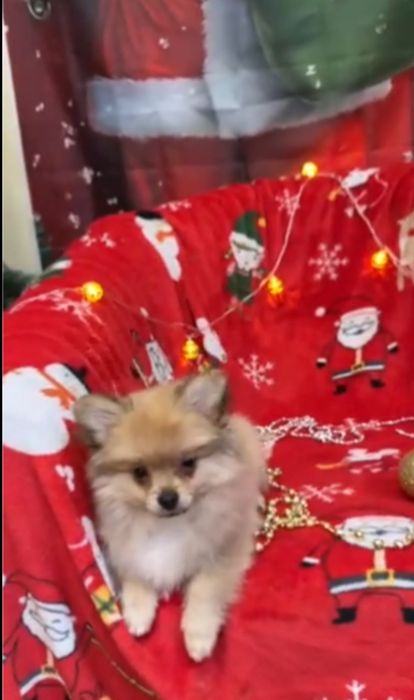 Чудо хлопчик для душі