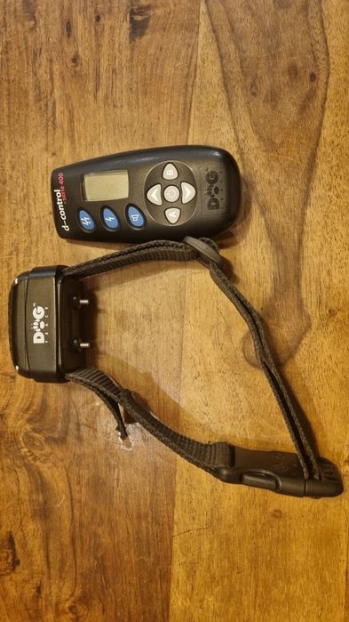 Elektroniczna Obroża treningowa