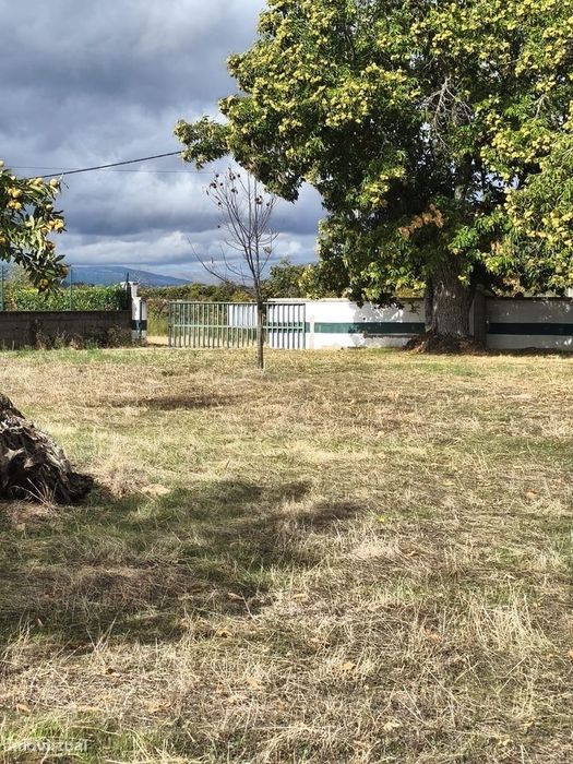 Terreno 1 hectare em Parada, Bragança - Perto de Acessos e Serviços — Grijó de Parada, Bragança