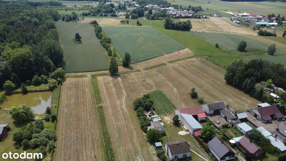 Działki z WZ pod dom | 1,1-2,25 ha | las | Wodynie - Widok 6