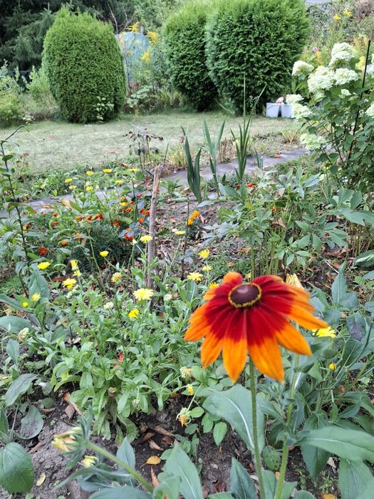 Działka ROD Zacisze