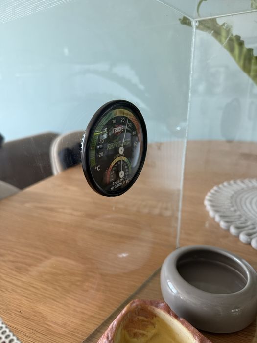 Terriarium po gekonie