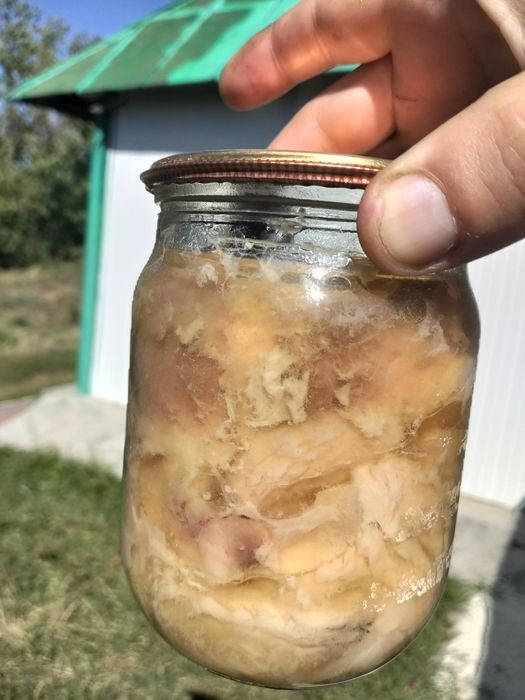 Тушонка из карпа, очень вкусная.