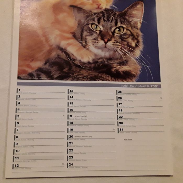 Calendário de parede com gatos do ano 2007