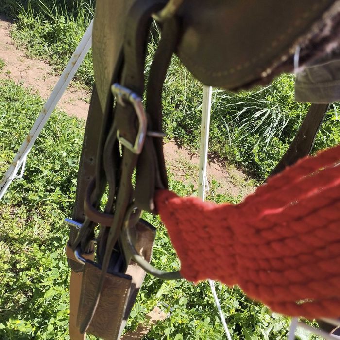 Sela Western para Pónei Completa