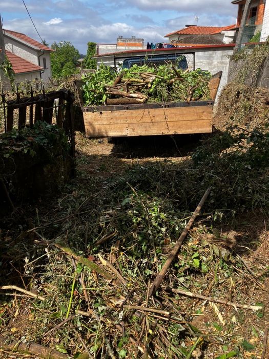 Casa em ruinas em aldeia satão (viseu)