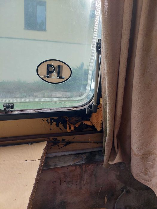 Przyczepa kempingowa Niewiadów N126N