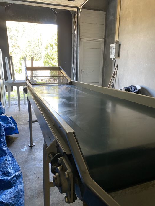 Passadeira usada para escolher mirtilo