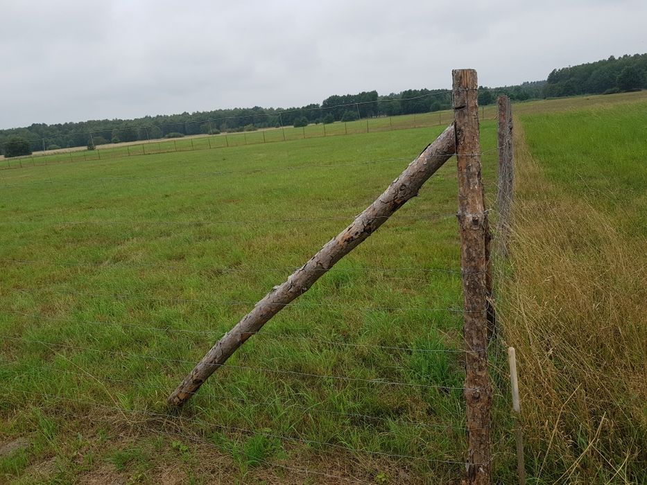 Łeba okolice działki budowlane na sprzedaż - Widok 3