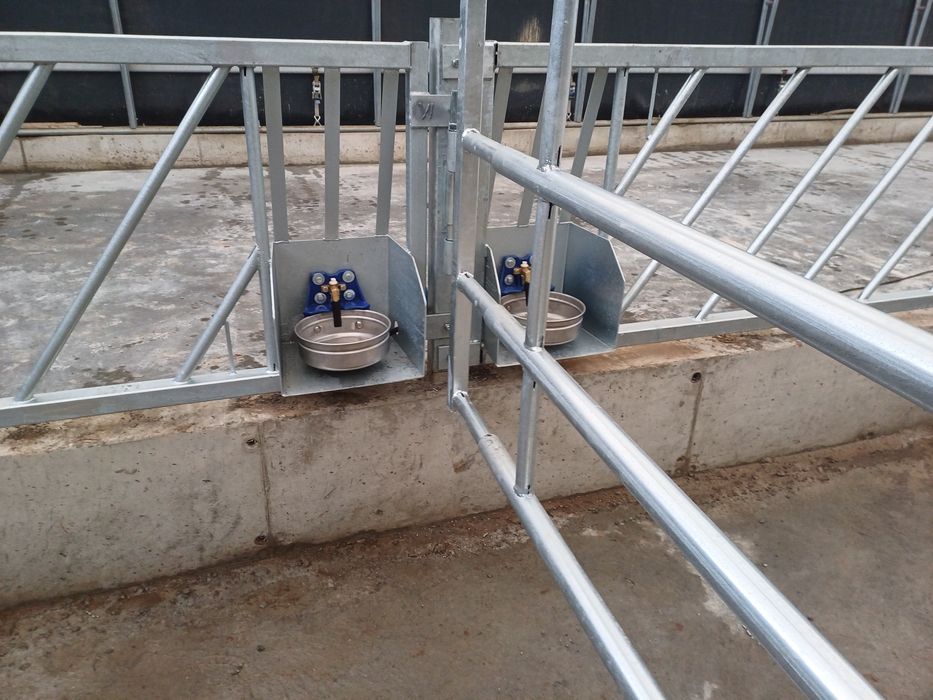 Drabiny kojec dla bydła